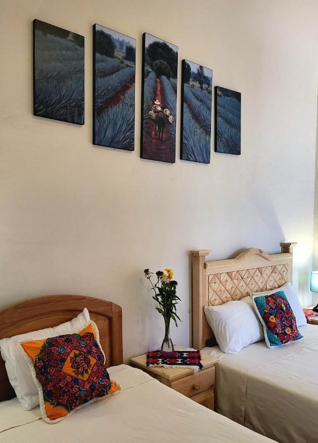 Casa Los Arquitos B&B Oaxaca Extérieur photo